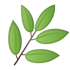herbs